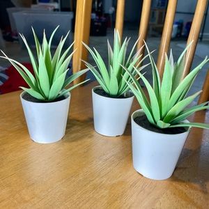 3 fake succulents